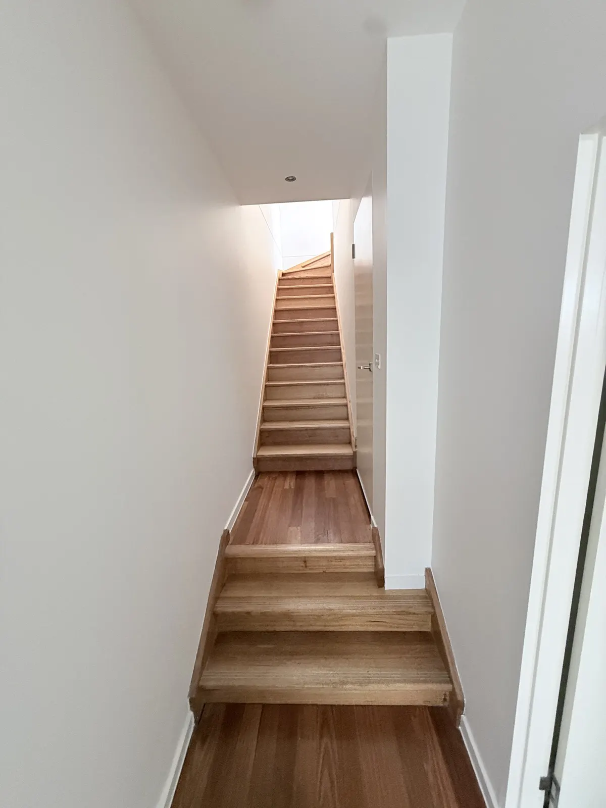 Painted stairwell and timber stairs — from our Bayside projects.